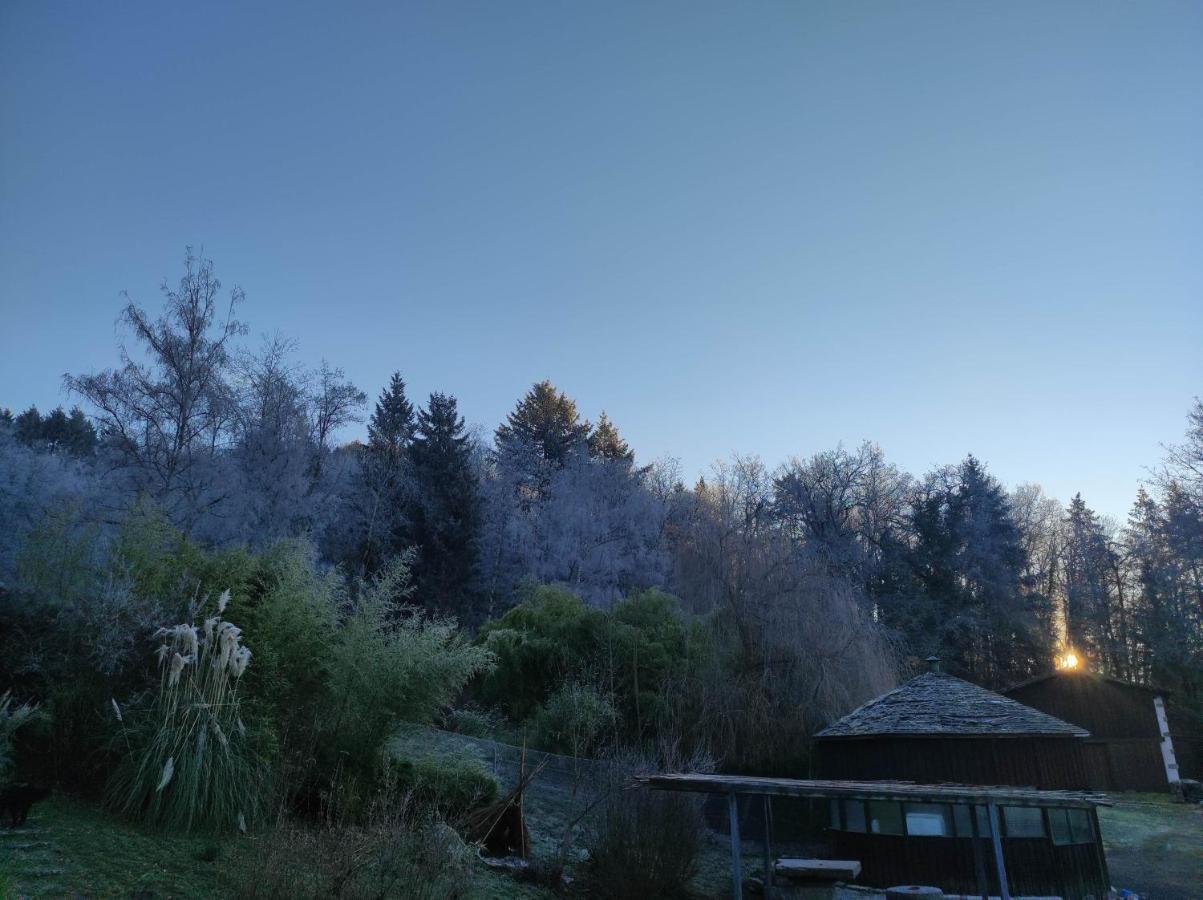 L'Oree Des Bois Courpiere Exterior foto