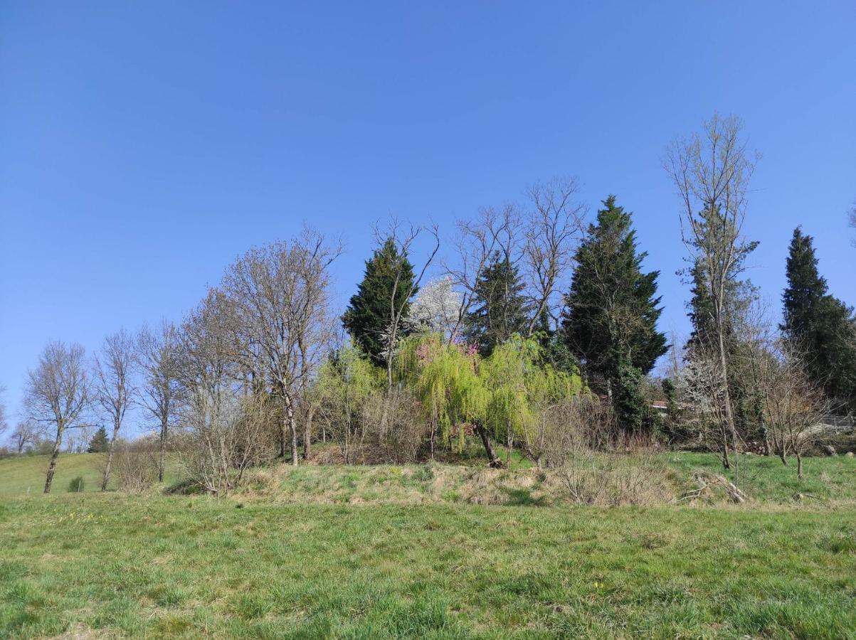 L'Oree Des Bois Courpiere Exterior foto